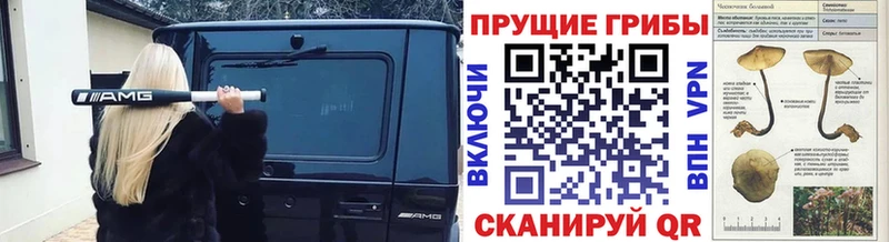 Галлюциногенные грибы Magic Shrooms  закладка  Сенгилей 